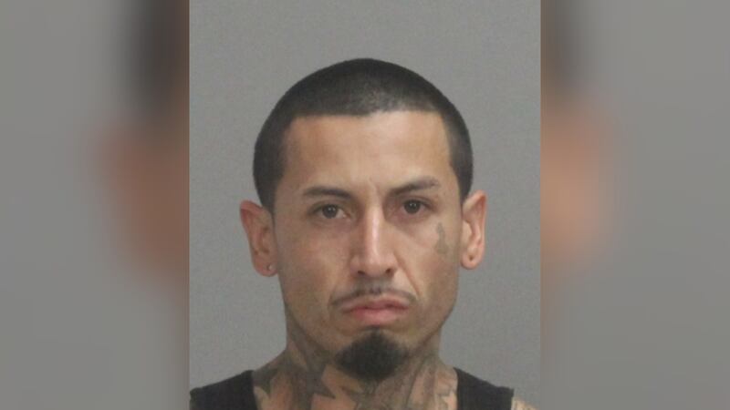 Maurice Rollo Jr. was sentenced to 20 years in prison for assaulting police officers