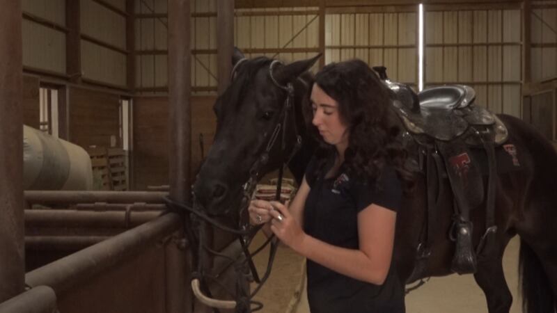61st Masked Rider and the new horse, Buzz, are preparing for their first run at the Jones...
