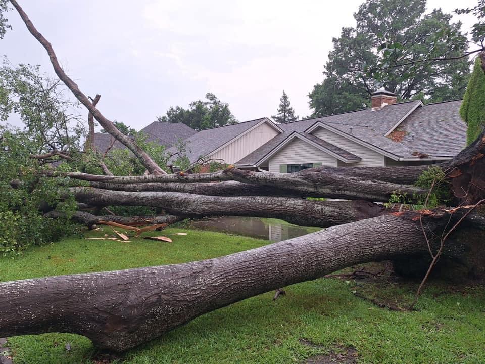 Reports of significant wind damage in Frankston, Bullard areas - Vimarsana News