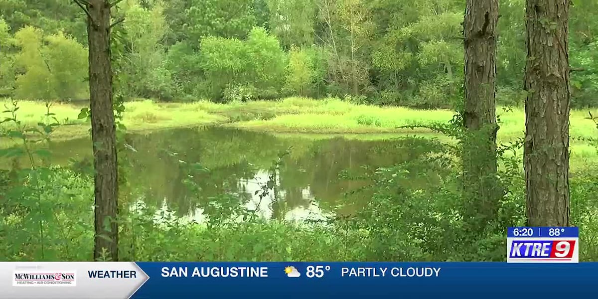 Reforest Lufkin initiative aims to improve recreational areas in city Reforest Lufkin initiative aims to improve recreational areas in city